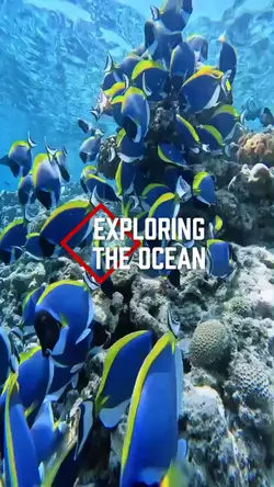 Exploring the Ocean 