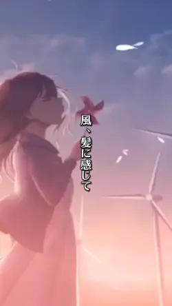 画像＆動画 10枚