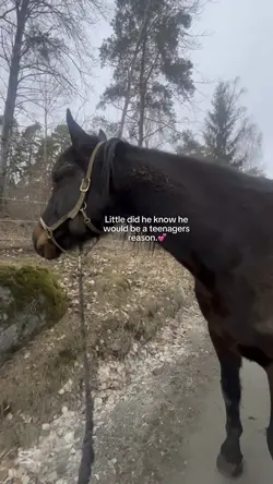Bästa❤️❤️
