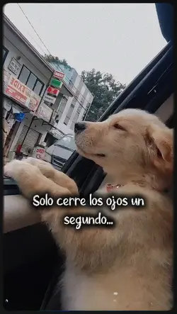 Solo cerré los...