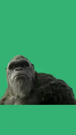 kong roar