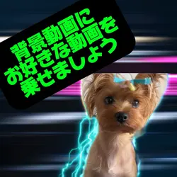 改良🥰30秒背景動画に自動切り抜き上乗せ