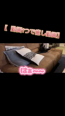 動画1つで簡単編集🫶