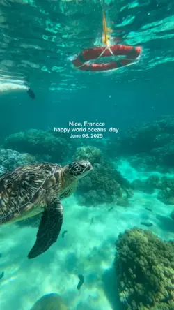 World oceans day