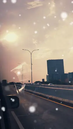 meteor garden