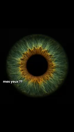 yeux