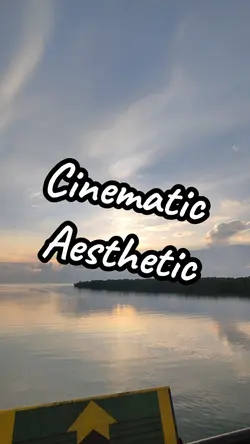 Video Cinematic