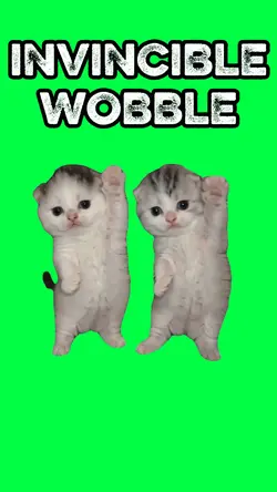 INVINCIBLE WOBBLE