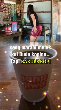 1 video 