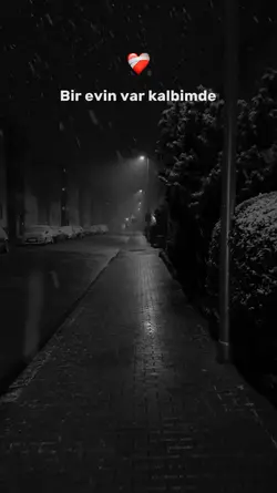Yeni şablon