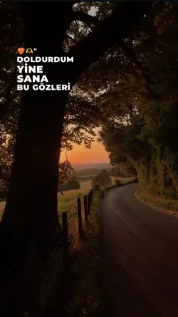 Yeni şablon