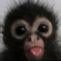 Look at me!