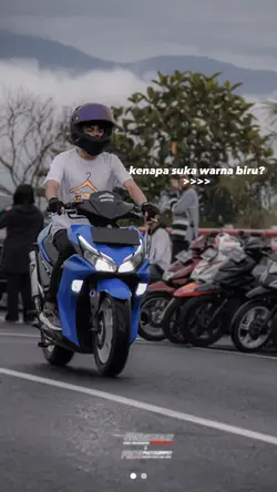 ARTI BIRU 