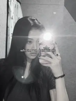 whising on dandelion