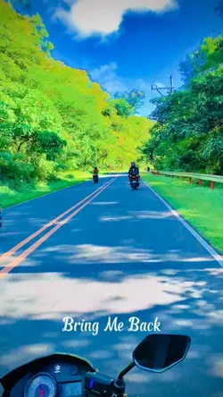 Bring me back 