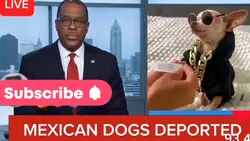 Breaking news 