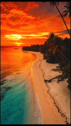 Paradise Sunse