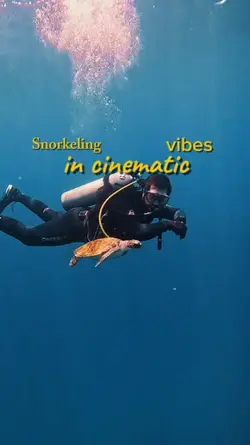 Snorkeling cinematic