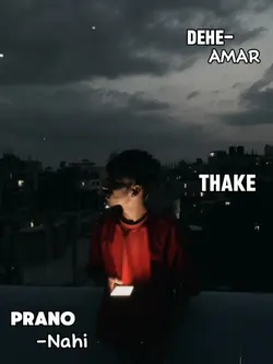 কোন দেশে? 