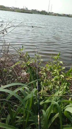 pagi pagi mancing