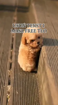 Usuń tekst