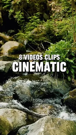8 Videos clips