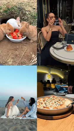 4 Grid Video 
