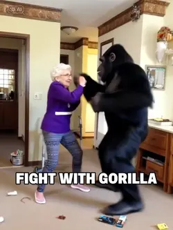 ME VS GORILLA