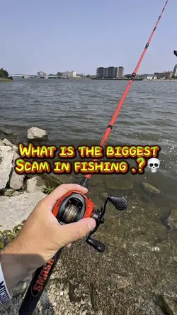 Biggest scam