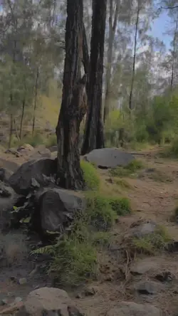 Slowmo HarleyInHawai