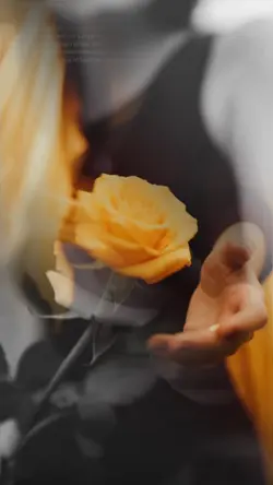 Festa della donna