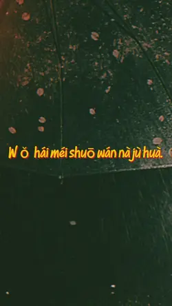 Wǒ hái méi shuō wán 