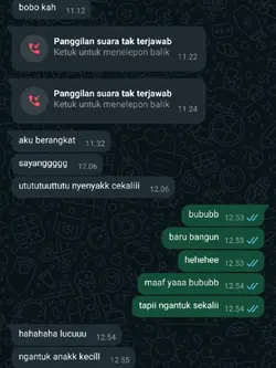 ss chat bucinnn