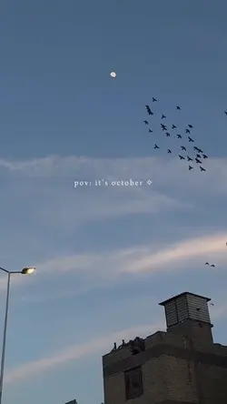 pov: it’s october ✧