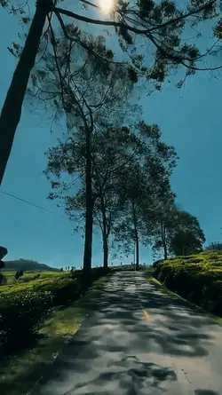 Slowmo Velocity