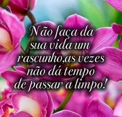 Status do dia