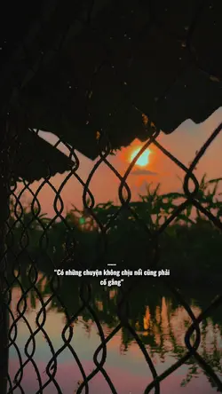 Mẫu 1 video ảnh 