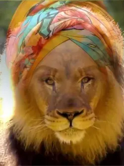 Lion King 