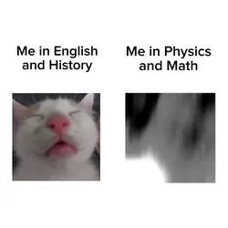 Real bruh