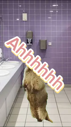 Groundhog scream