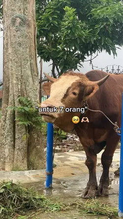 Trend Idul Adha