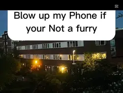 If your not a Furry