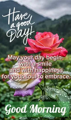 Good morning 