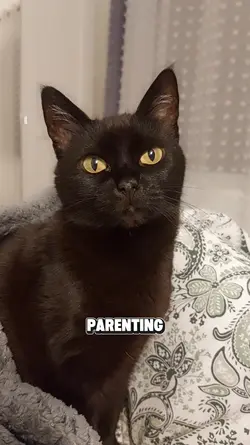 Parenting tip...