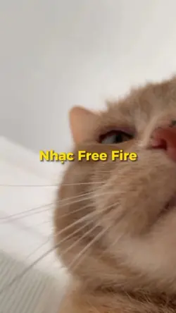 Nhạc Free Fire