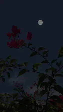 Humdard Song Lyrics