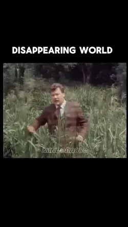 Disappearing World 