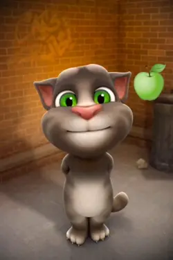 Manzana