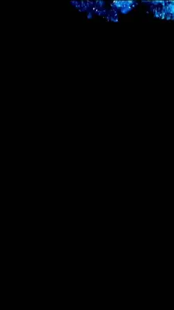 Opening Logo