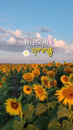 Spring 